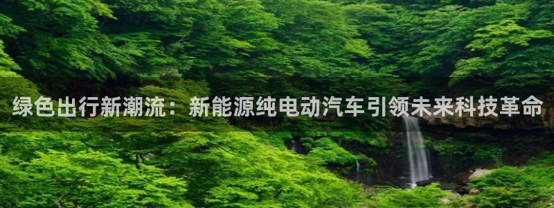 新宝gg娱乐盟主
