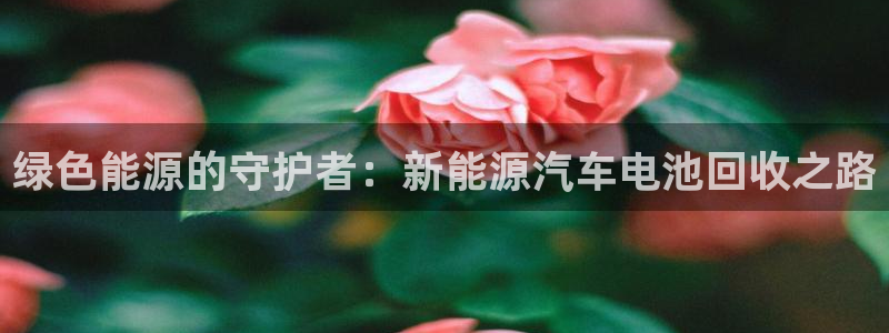 新宝gg开户流程