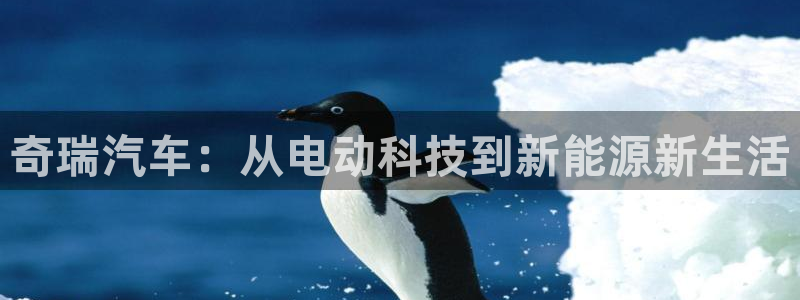 新宝gg龙腾