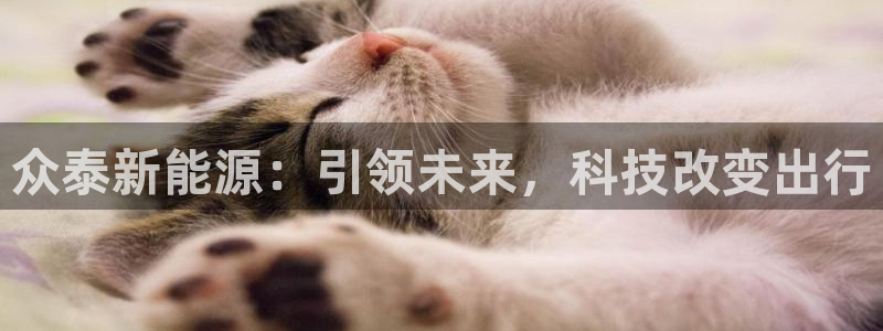 新宝gg官方注册找上级：众泰新能源：引领