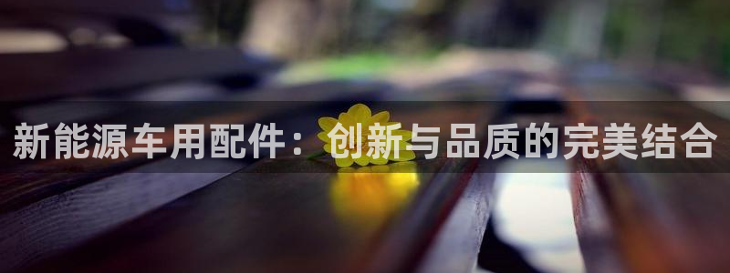 新宝gg注册首页：新能源车用配件：创新与