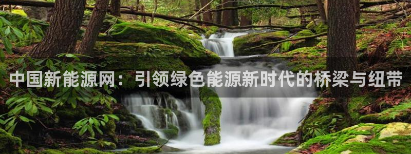 新宝gg建立团队