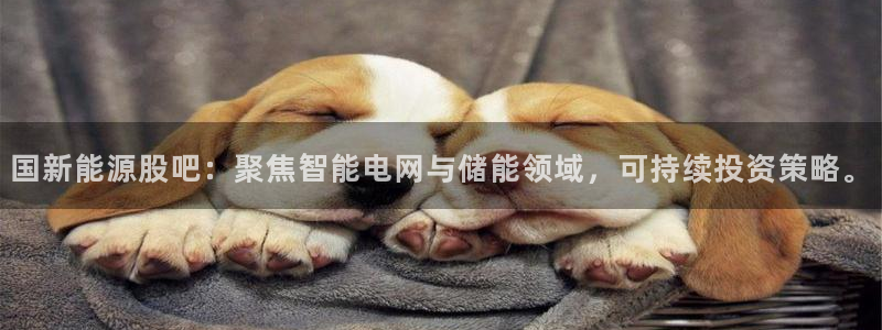 新宝gg如何赚钱