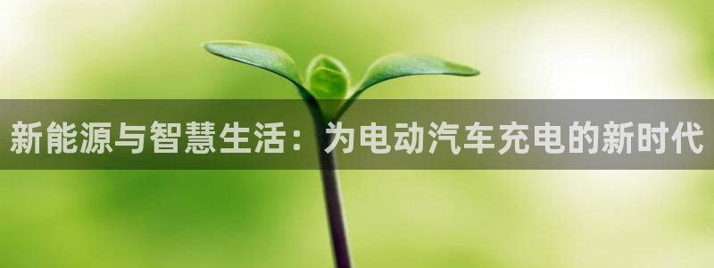 新宝gg刷流水