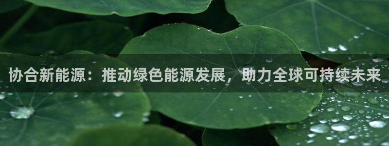 新宝GG绿色