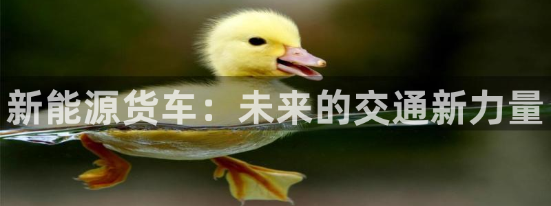 新宝gg开好