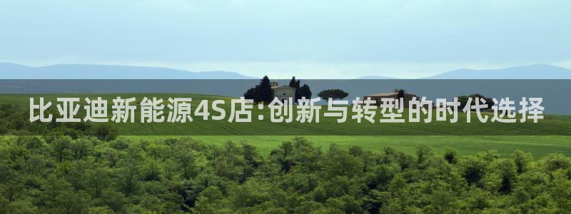行新宝gg：比亚迪新能源4S店:创新与转