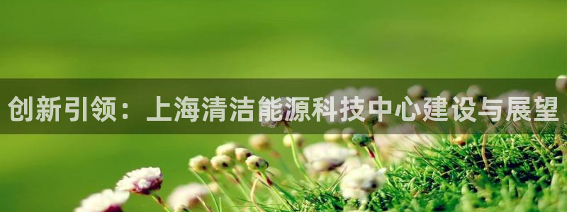 新宝gg体彩：创新引领：上海清洁能源科技