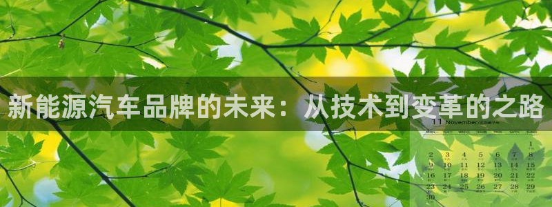 新宝gg代理：新能源汽车品牌的未来：从技