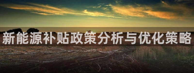 新宝gg主管：新能源补贴政策分析与优化策