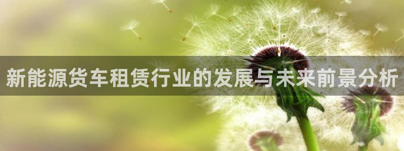 新宝gg公司