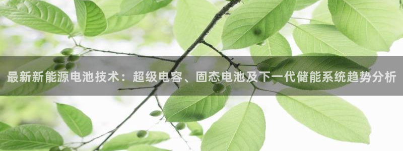新宝gg联系
