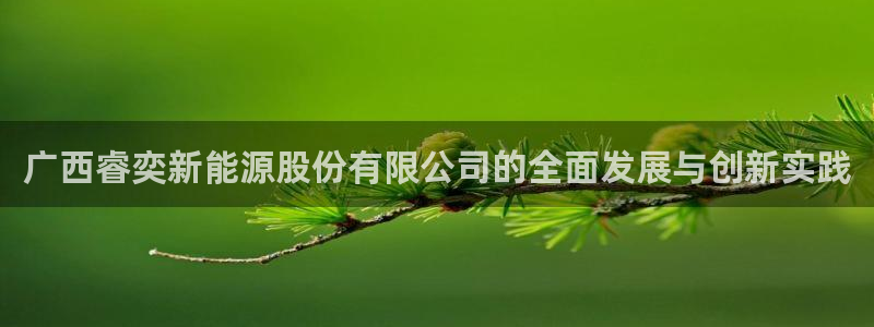 新宝gg是什么