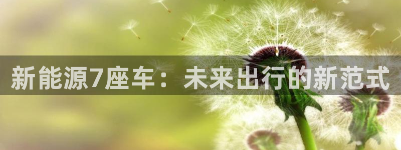 新宝gg彩票：新能源7座车：未来出行的新