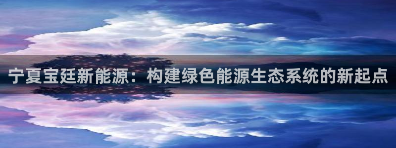 新宝gg珈75775：宁夏宝廷新能源：构