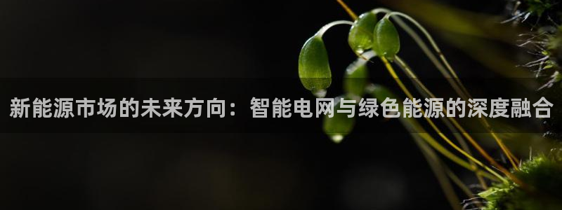 新宝gg博客：新能源市场的未来方向：智能