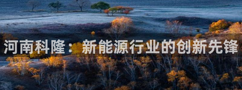新宝gg官方