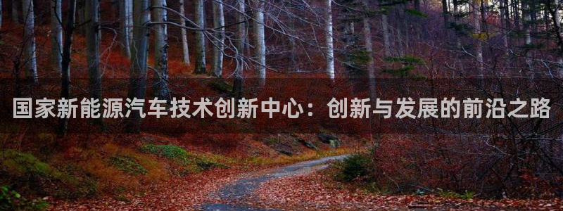 新宝GG朔78778：国家新能源汽车技术