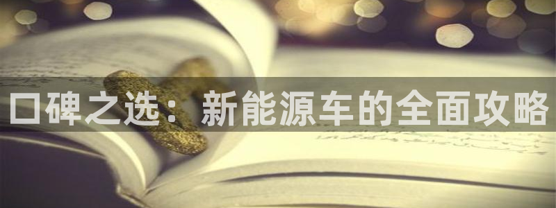 新宝gg招商89188：口碑之选：新能源