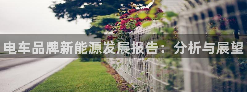 新宝gg线长