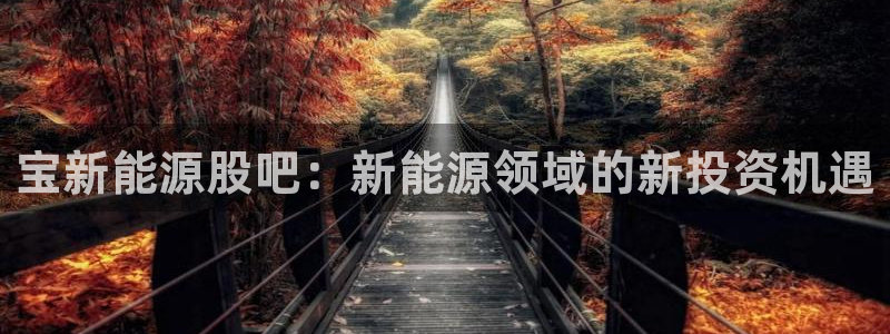 新宝gg.