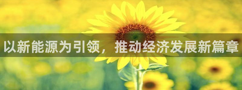 新宝gg成立