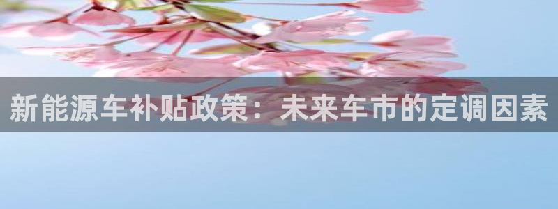 新宝gg 平台怎么样