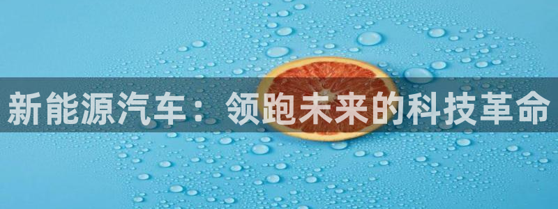 新宝gg图片