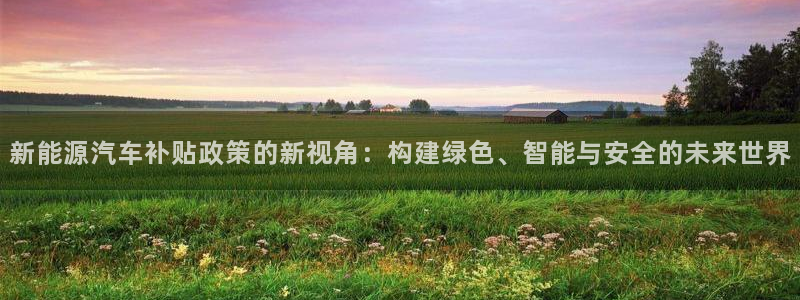 新宝gg论坛：新能源汽车补贴政策的新视角