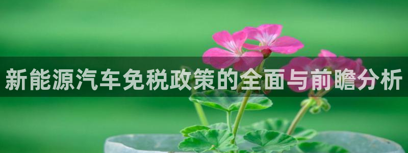 新宝gg联系