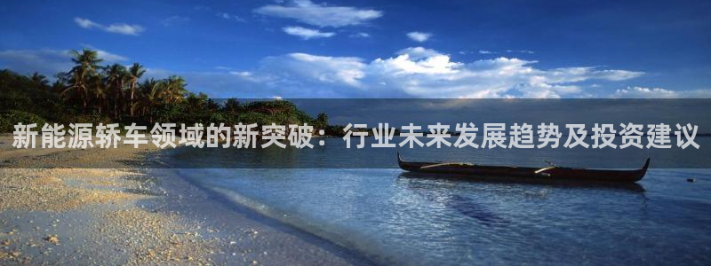 怎么下载新宝gg:新能源轿车领域的新突破:行业未来发展趋势及