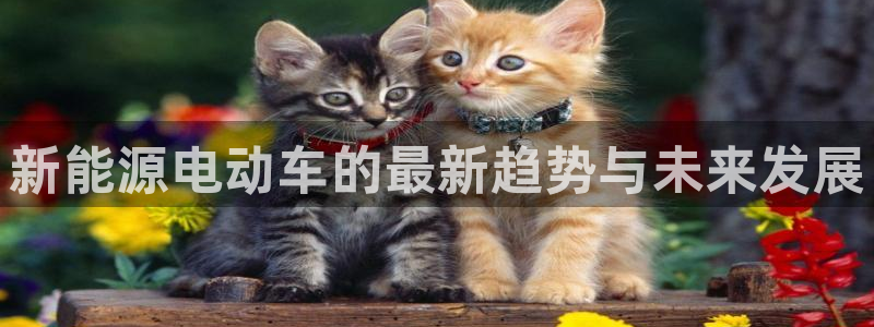 新宝GG挂机