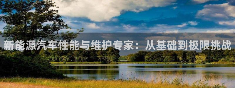 新宝gg平：新能源汽车性能与维护专家：从