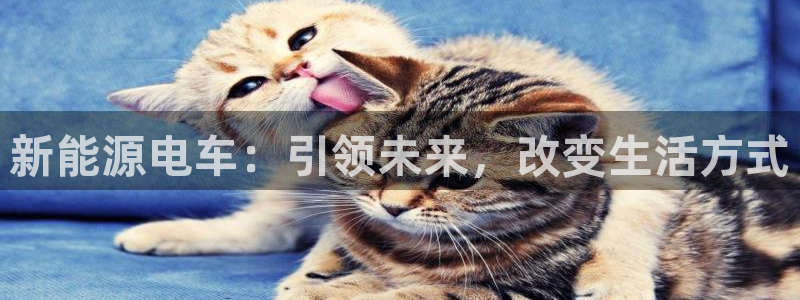 新宝gg账户注册：新能源电车：引领未来，