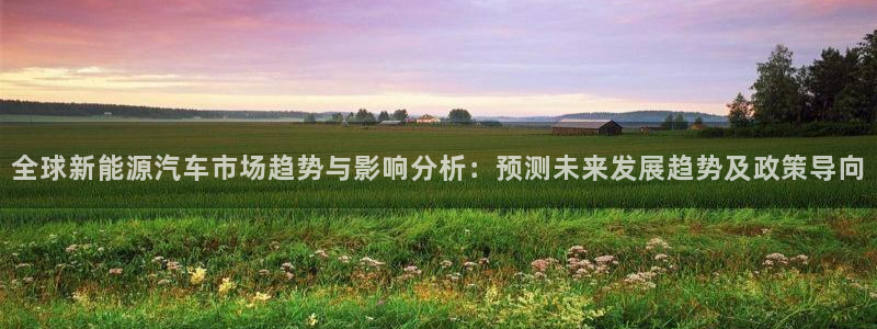 新宝GG以355051:全球新能源汽车市场趋势与影响分析:预