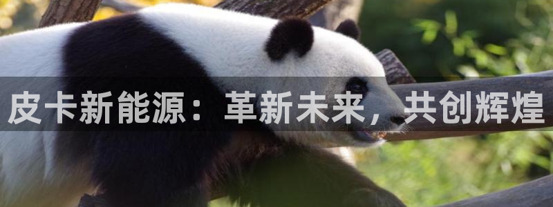 行新宝gg:皮卡新能源:革新未来,共创辉煌