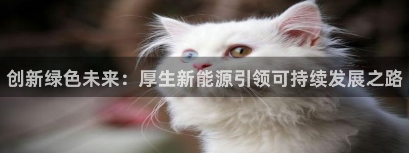 新宝GG创业奇迹:创新绿色未来:厚生新能源引领可持续发展之路