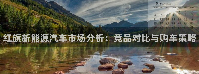 新宝GG电话:红旗新能源汽车市场分析:竞品对比与购车策略