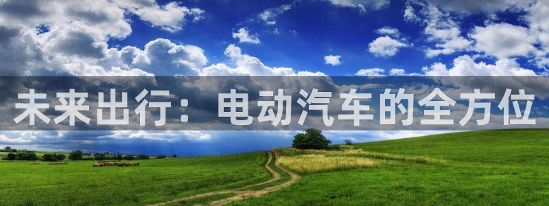 新宝GG专业团队:未来出行:电动汽车的全方位