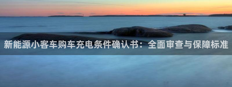 新宝gg佳740005:新能源小客车购车充电条件确认书:全面