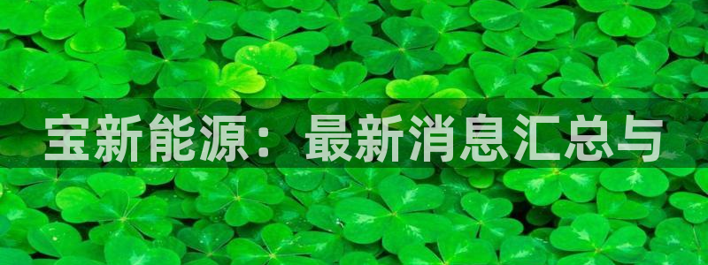 新宝GG登录③:宝新能源:最新消息汇总与