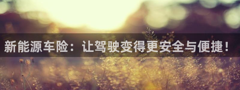 新宝GG柯78778:新能源车险:让驾驶变得更安全与便捷!