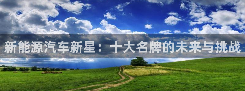 新宝gg平台开发:新能源汽车新星:十大名牌的未来与挑战