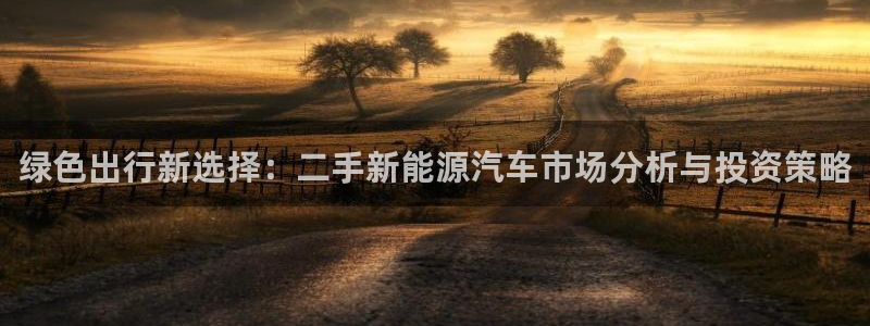 怎么下载新宝gg:绿色出行新选择:二手新能源汽车市场分析与投