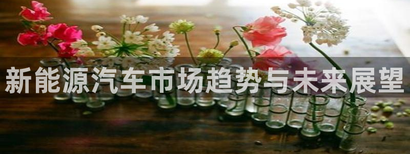 新宝gg.:新能源汽车市场趋势与未来展望