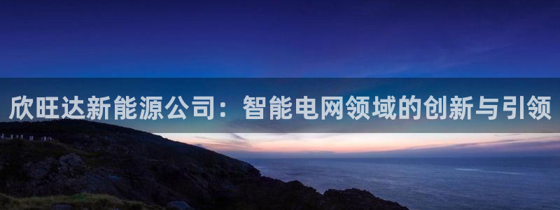 新宝gg开户流程:欣旺达新能源公司:智能电网领域的创新与引领