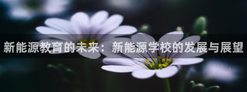 新宝GG专业团队:新能源教育的未来:新能源学校的发展与展望