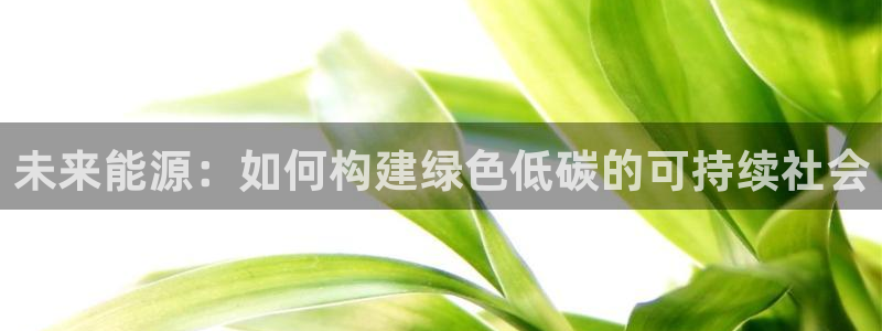 新宝gg平台:未来能源:如何构建绿色低碳的可持续社会