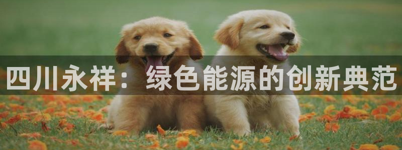 新宝gg登录地址:四川永祥:绿色能源的创新典范