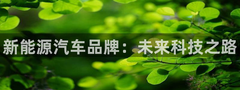 新宝gg娱乐-上鼎狐网